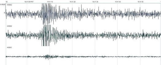 A seismogram showing the shaking caused by fans after Seattle Seahawks player Earl Thomas defended against a pass during the NFC Divisional Round game between the Seattle Seahawks and the Carolina Panthers.