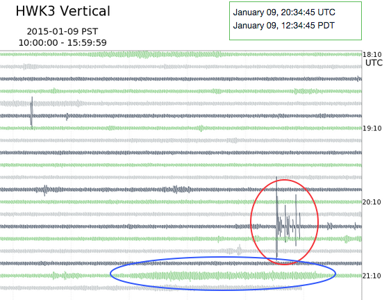 A seismogram from the station HWK3 on the vertical channel. A red circle points out a spike in the seismogram likely caused by someone jumping or walking nearby, and a long blue oval encircles a steady increase and eventual decrease in the seismogram overtime likely caused by a train passing.