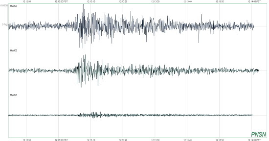 A seismogram showing the shaking caused by fans after Richard Sherman intercepted the ball during the Seattle Seahawks game against the Green Bay Packers.
