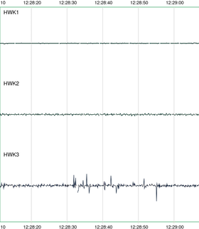 Seismogram taken from QuickShake showing several spikes from the vertical channel of HWK3, where someone might have been walking or jumping nearby.