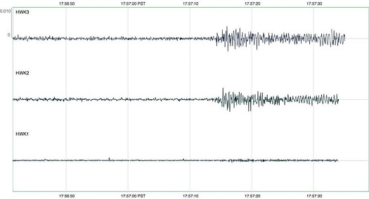 A seismogram showing the shaking caused by fans after Richard Sherman intercepted the ball during the NFC Divisional Round game between the Seattle Seahawks and the Carolina Panthers.
