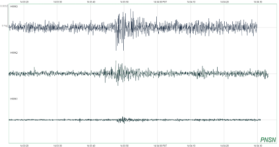 A seismogram showing the shaking caused by fans after Seattle Seahawks player Doug Baldwin completed a pass during the Seattle Seahawks game against the Green Bay Packers.