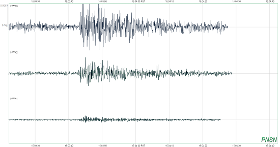A seismogram showing the shaking caused by fans after Seattle Seahawks player Chris Matthews recovered the football during the Seattle Seahawks game against the Green Bay Packers.
