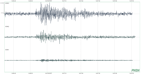 A seismogram showing the shaking caused by fans after Seattle Seahawks kicker Jon Ryan punted a fake field goal to Gary Giliam who then completed a touchdown during the Seattle Seahawks game against the Green Bay Packers.