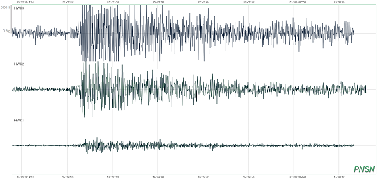 A seismogram showing the shaking caused by fans after Seattle Seahawks player Jermaine Kearse completed the game winning touchdown during the Seattle Seahawks game against the Green Bay Packers.