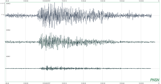 A seismogram showing the shaking caused by fans after Seattle Seahawks player Marshawn Lynch completed a touchdown aftern notably driving through many opposing players during the Seattle Seahawks game against the Green Bay Packers.