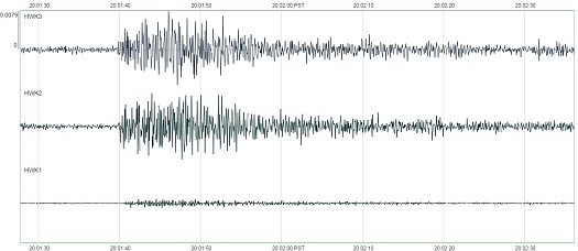 A seismogram showing the shaking caused by fans after Seattle Seahawks player Kam Chancellor intercepted a pass by the Carolina Panthers and then scored a touchdown during the NFC Divisional Round game between the Seattle Seahawks and the Carolina Panthers.
