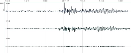 A seismogram showing the shaking caused by fans after Seattle Seahawks quarterback Russel Wilson completed a touchdown pass to Luke Willson during the NFC Divisional Round game between the Seattle Seahawks and the Carolina Panthers.